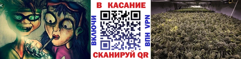 Купить наркотик аптеки Новосокольники Канабис Амфетамин ГАШИШ Меф мяу мяу Кокаин