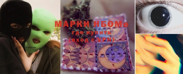 шишки Верхний Тагил