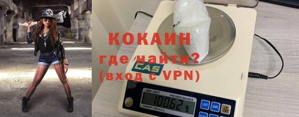 шишки Верхний Тагил