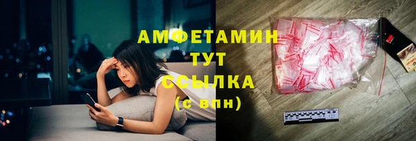 шишки Верхний Тагил