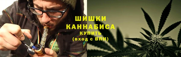 шишки Верхний Тагил