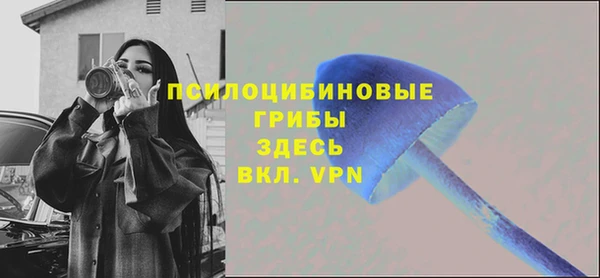 шишки Верхний Тагил