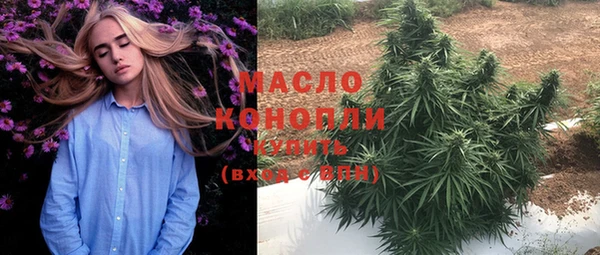 шишки Верхний Тагил
