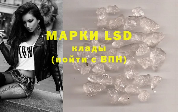 шишки Верхний Тагил