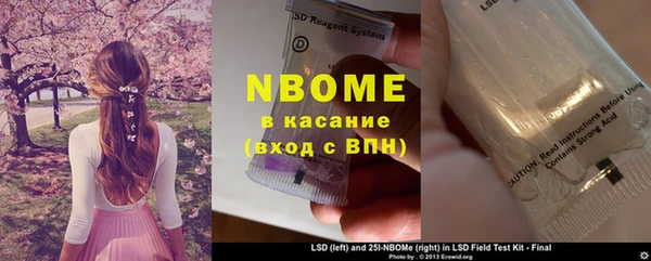 шишки Верхний Тагил