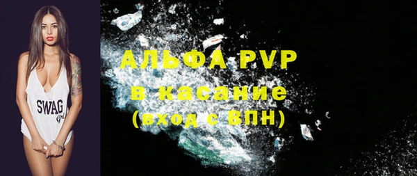 шишки Верхний Тагил